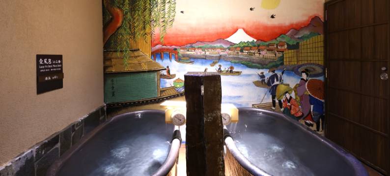 浅草别邸御宿野乃天然温泉酒店(多美迎・御宿野乃 酒店集团)(Onyado Nono Asakusa Bettei Hot Spring)图片