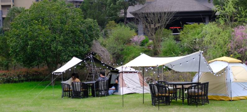 杭州临安湍口众安氡温泉度假酒店图片