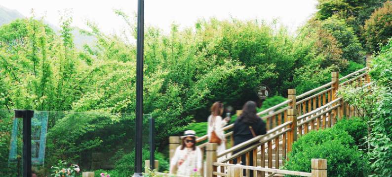 梅苑壹号民宿图片