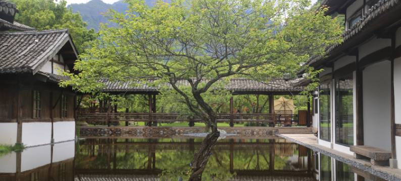 楠溪江耕读小院图片