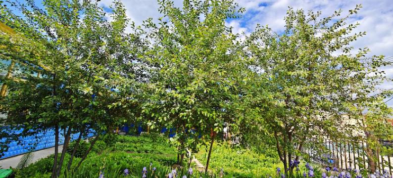 那拉提逸安居客栈图片