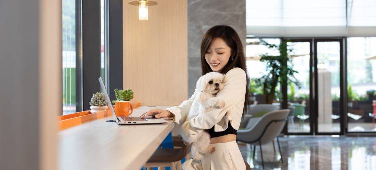 贵阳南明甲秀希尔顿惠庭酒店图片