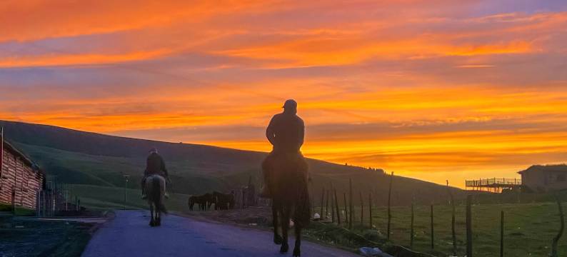 栖星阁·星星的家图片