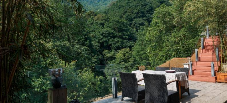 青城山半山归墅温泉酒店图片