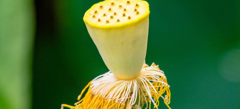 草海情民宿馆图片