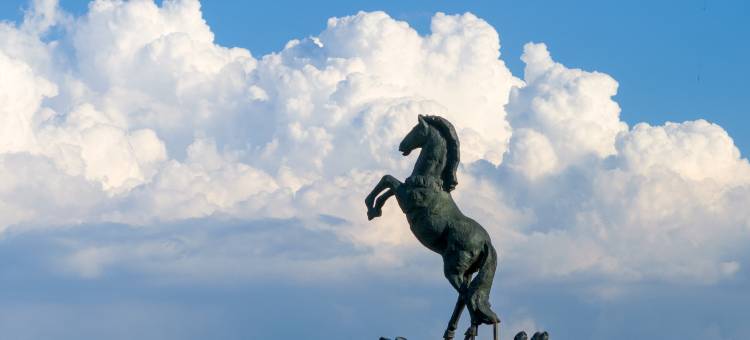 携程度假农庄(多伦浪骥牧场联营店)图片