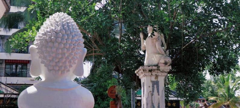 西双版纳景洪西洲民宿(告庄西双景店)图片