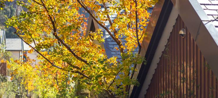 绍兴新昌安岚图片