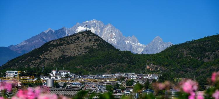 沐山苑·花园民宿(丽江古城南门忠义市场店)图片