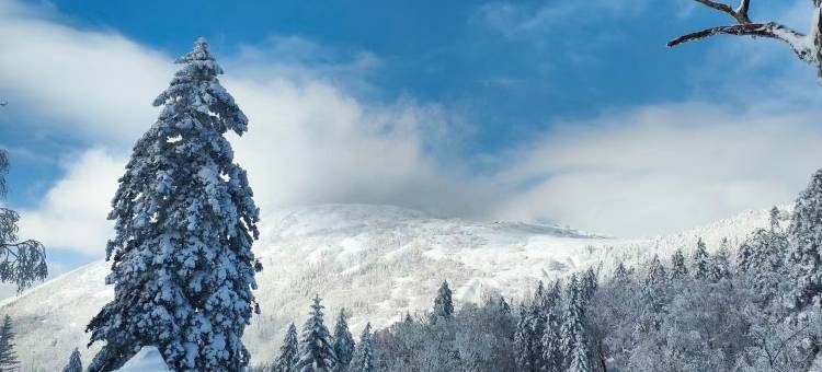 雪乡二浪河维子客栈图片