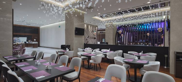 伊斯坦布尔乌姆拉尼耶希尔顿逸林酒店(Doubletree by Hilton Istanbul Umraniye)图片