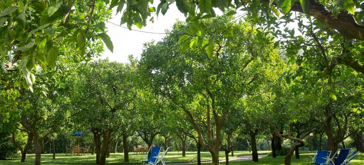 苏伦多希尔顿酒店(Hilton Sorrento Palace)图片