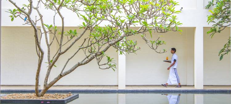 美人鱼酒店及俱乐部(Mermaid Hotel & Club)图片