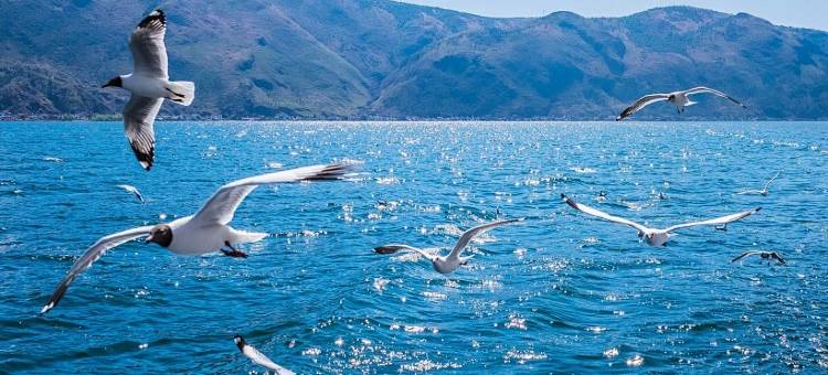 小鹿辰客·腾安阁智能酒店(大理高铁站洱海公园店)图片