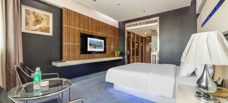 佛山菲仕酒店(禅西大道乐从店)图片