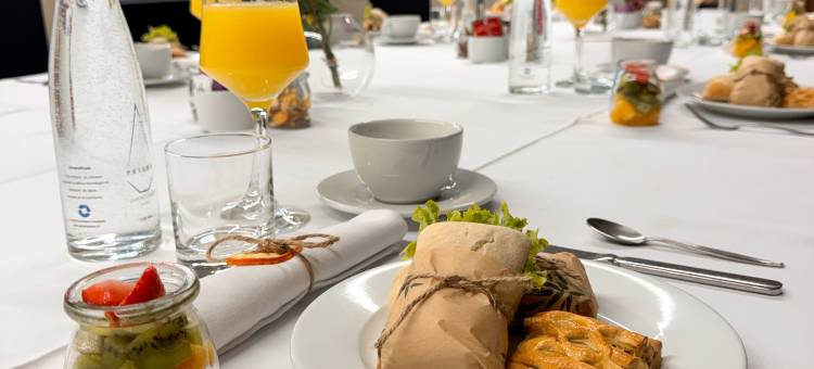 康塞普西翁美居酒店(Mercure Concepción)图片