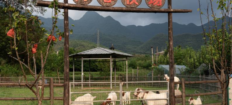 林远度假酒店(泾县皖南川藏线店)图片