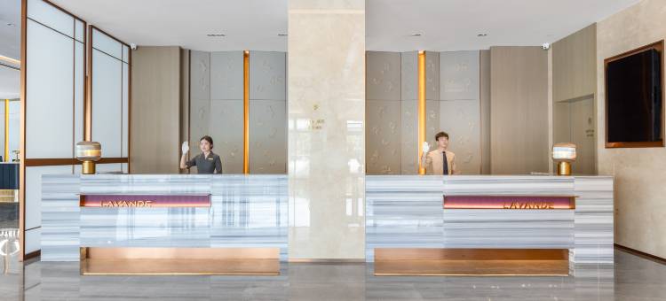 麗枫酒店(洛阳龙门高铁站店)图片