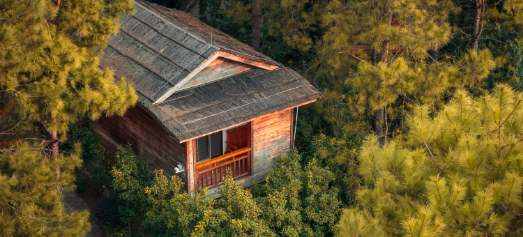 清远金子山森林雪谷壮瑶度假村图片