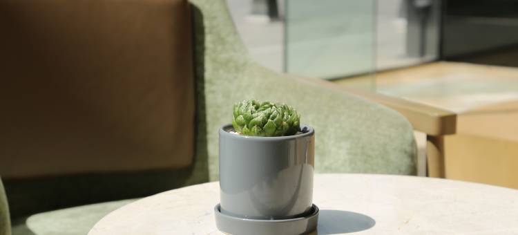 成都天府丽都喜来登饭店(天府广场店)图片