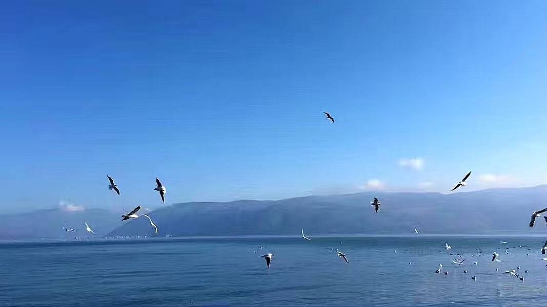 大理Bingo·海逸十号海景客栈(洱海才村码头店)图片