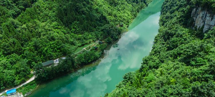 百桉溪地酒店图片