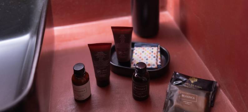 联盟酒店 - 靠近巴黎(Hôtel Alliance - Proche Paris)图片