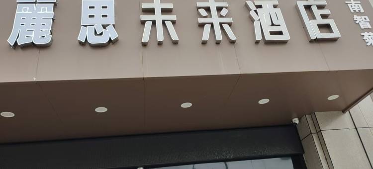麗思未来酒店(新桥产业园店)图片