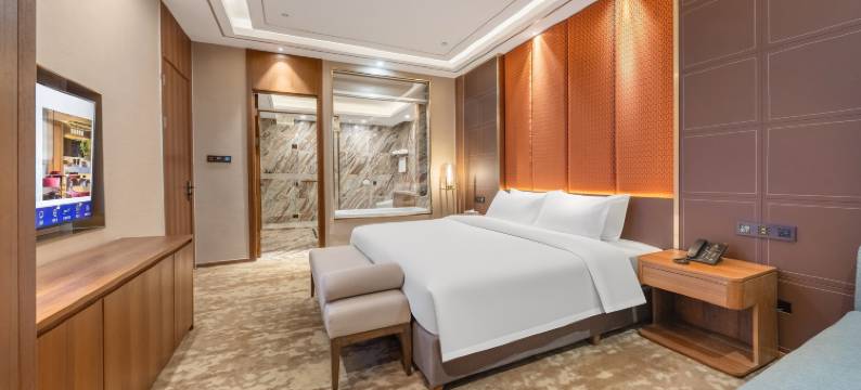 星程酒店(重庆潼南大道店)图片