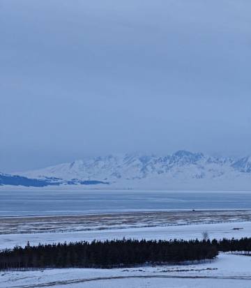 赛里木湖景区游客中心亚朵酒店图片
