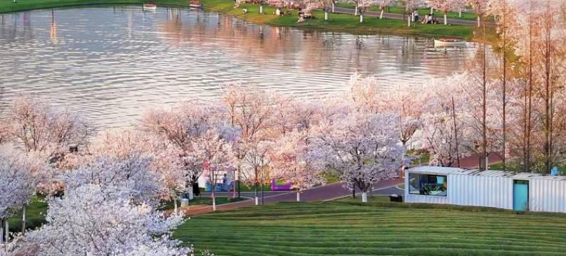 武义龙壶酒店(金华市黄龙工业区店)图片