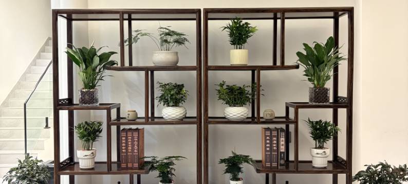 云山居民宿(河南宝泉旅游度假区店)图片