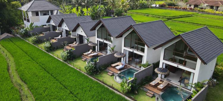 乌布阿斯卡亚(Ascarya Ubud)图片