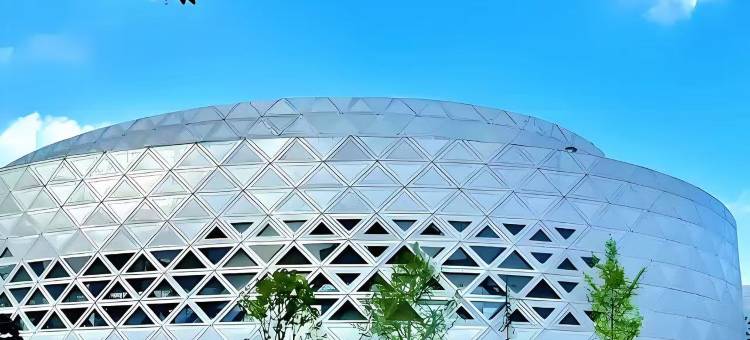 成都天府高新智选假日酒店图片
