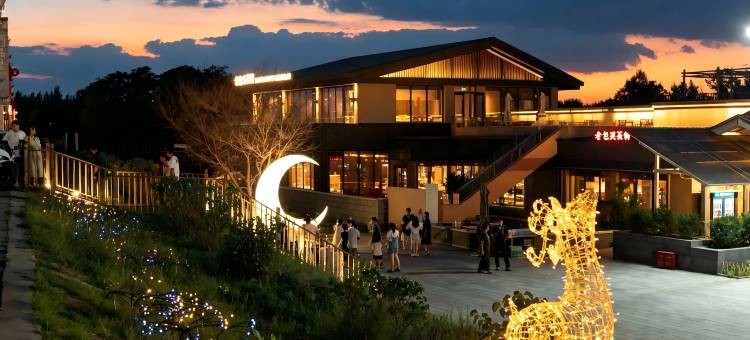 黄河·见鹿奢墅(黄河大集店)图片