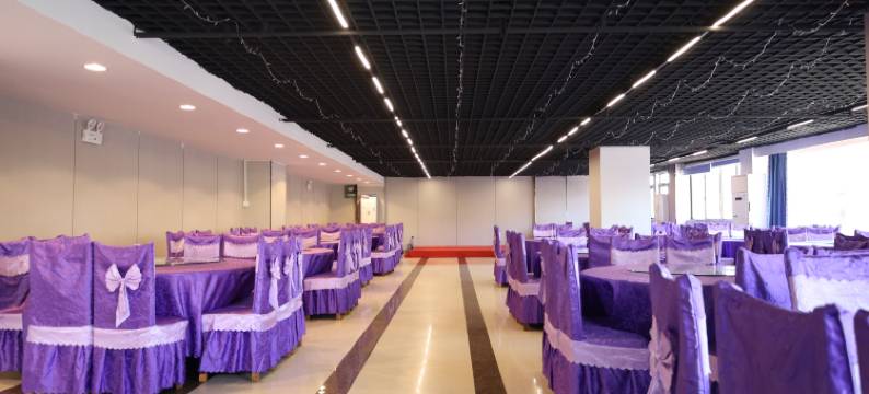 桔城酒店(洞口县政府店)图片