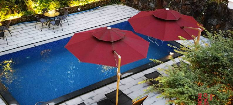 柴屿家CVIVI ' 莫干山萌宠庭院亲子度假美宿丨无敌可爱的胖胖柴犬图片