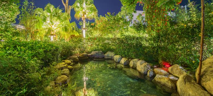 梅州五华热矿泥温泉度假村图片