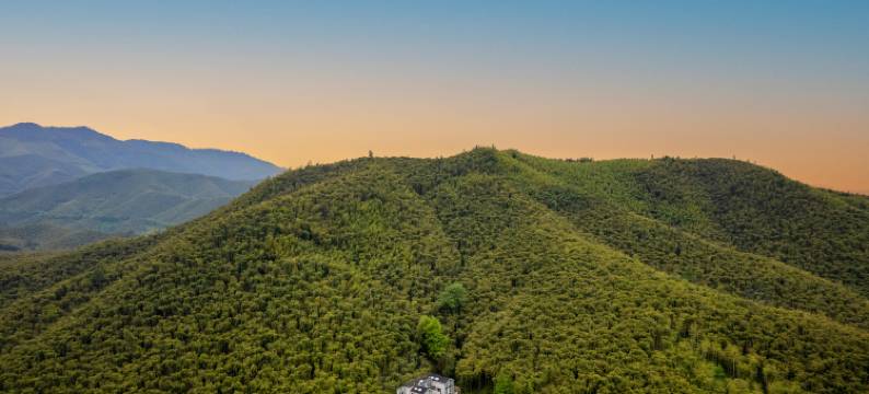 莫干山岭尚·山奢温泉度假酒店图片