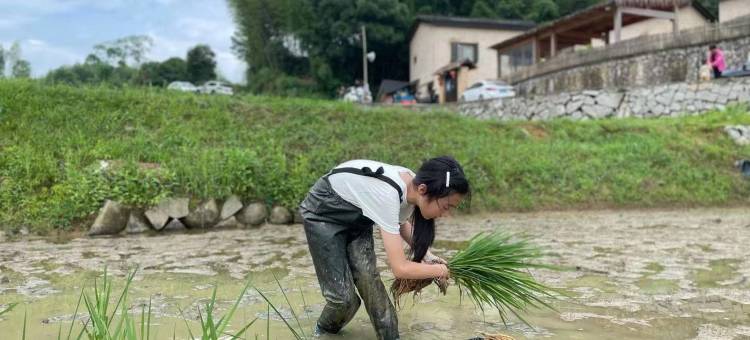桐庐向往的生活蘑菇屋民宿图片