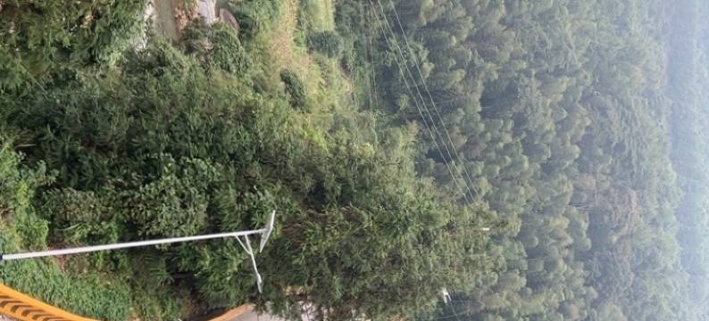 宜章清明田悦客民宿图片