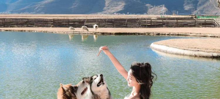 丽思漫丨心宿·牧野供氧庄园(香格里拉店)图片