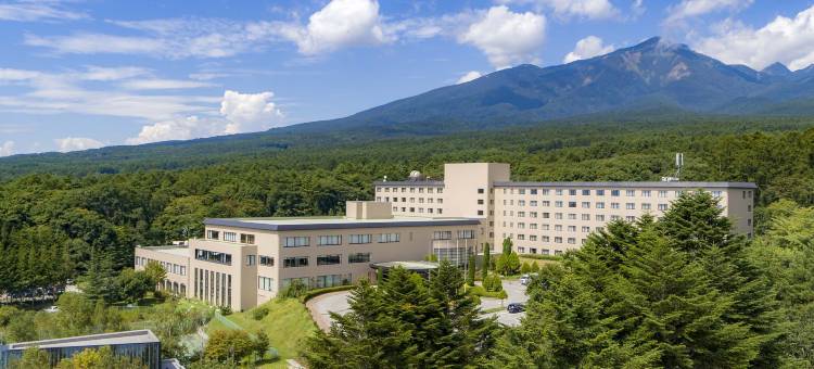 八岳美爵水疗度假酒店(Grand Mercure Yatsugatake Resort & Spa)图片