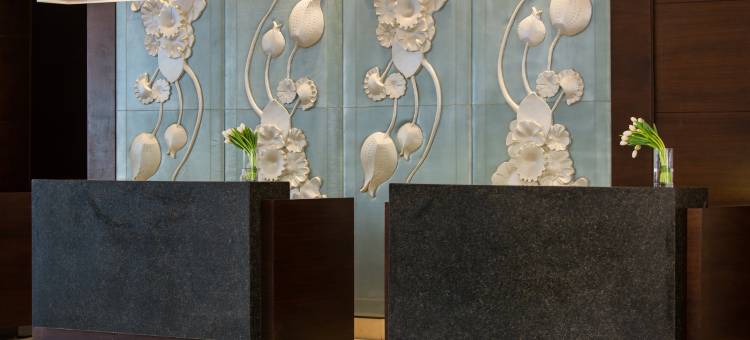 开罗幻影市万丽酒店(Renaissance Cairo Mirage City Hotel)图片