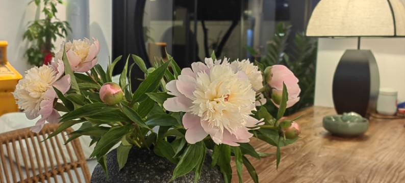 深圳市大鹏新区曼舍民宿图片