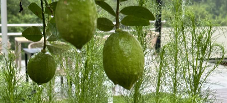 贝壳.揽山居图片