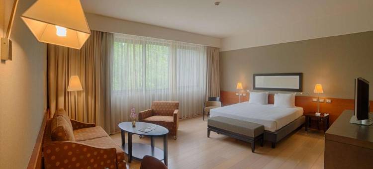 NH利纳特酒店(NH Linate)图片