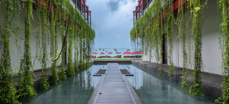 蔚十五沙湾(W15 Weligama)图片