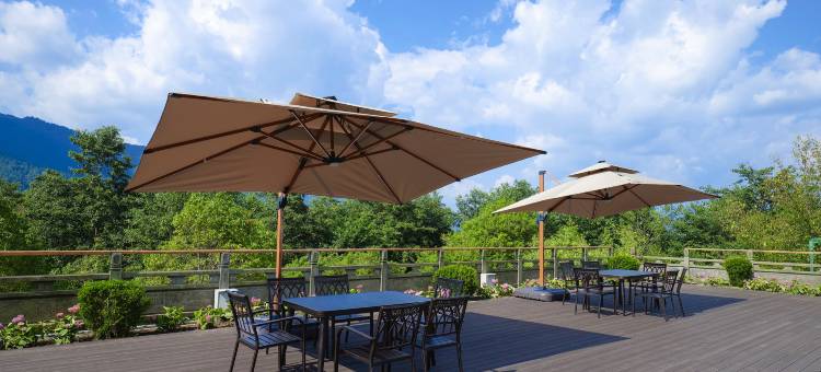 腾冲国际旅游度假大饭店图片