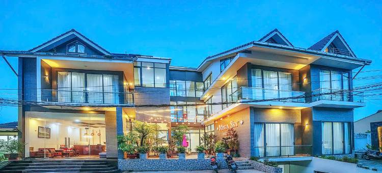 美佳天空大叻酒店(Mega Sky Dalat Hotel)图片